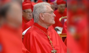 Dom Leonardo Steiner: O Primeiro Cardeal da Amazônia Brasileira no Conclave