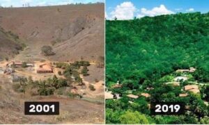 SEBASTIÃO SALGADO: O Legado de Restauração que salvou a Mata Atlântica