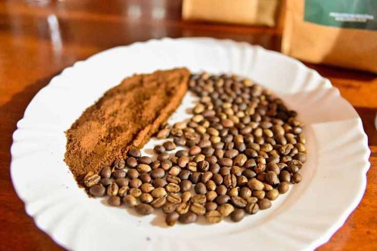 SEAGRI no GCF: Bioeconomia e Sustentabilidade as Rotas de Sucesso no Campo