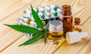MEDICAMENTOS: Governo Federal Apresenta Plano para Regulamentação de Cannabis Medicinal