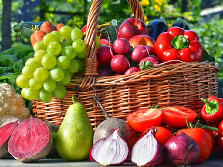 INOVAÇÃO: Acre Cria Ações Estratégicas para Fortalecer Agricultura Familiar e Alimentação Escolar Saudável