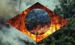 DEVASTAÇÃO: Desmatamento na Amazônia Cresce 91% em Maio de 2025