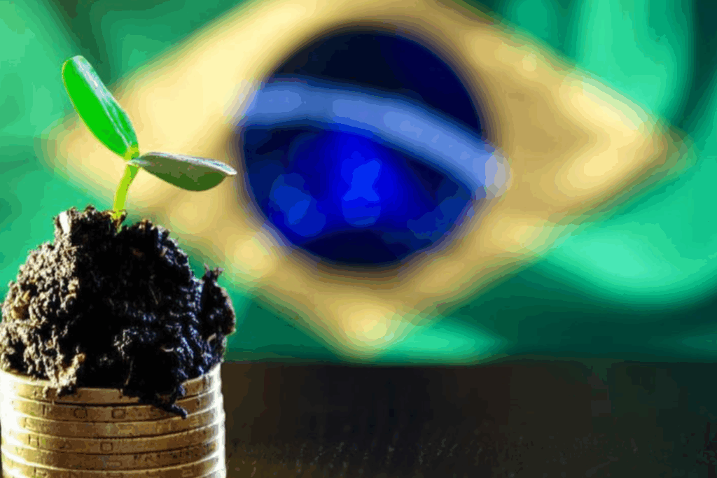 LIDERANÇA: Brasil Lidera Inovação com Primeiros Créditos de Carbono nas Américas