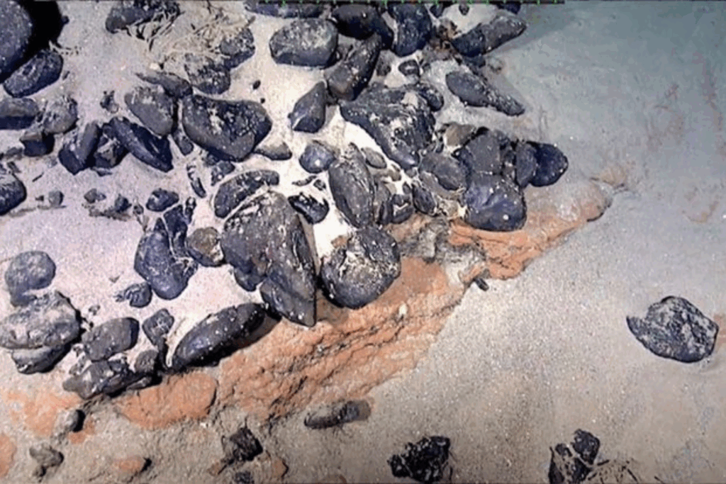 PATRIMÔNIO: Brasil Reivindica Ilha Submersa Rica em Minerais Estratégicos