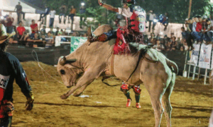 COMPETIÇÃO: Rodeio no Acre teve Provas Adiadas para Hoje às 18h após Fortes Chuvas