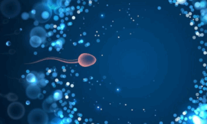 REVOLUÇÃO: STAR Nova Tecnologia com IA Revoluciona Tratamento da Azoospermia