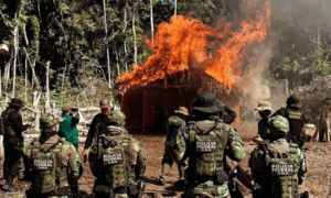 OPERAÇÃO: PF Intensifica Combate a Desmatamento e Incêndios no Acre e Sul do Amazonas