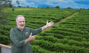 CONCURSO: Qualicafé Acre Reúne 48 Produtores e Avança Para Avaliação Sensorial