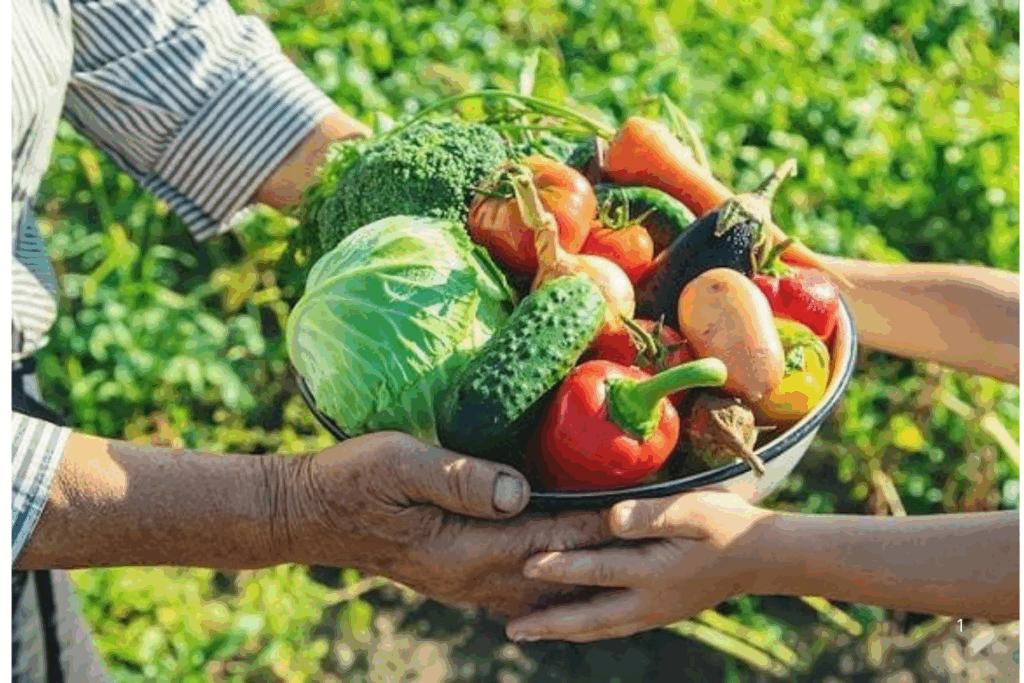 DESAFIO: Crise Alimentar Global Ameaça a Segurança Alimentar com Choques Climáticos e Econômicos