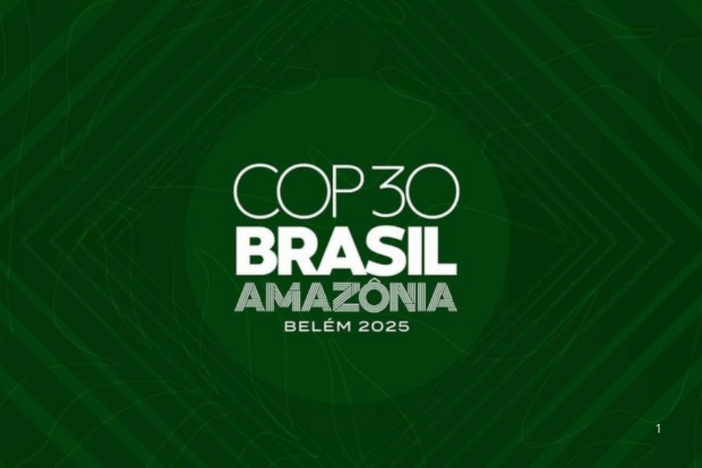 OPORTUNIDADE: Inscreva-se até dia 30 para Integrar a Delegação Brasileira na COP30