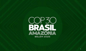 OPORTUNIDADE: Inscreva-se até dia 30 para Integrar a Delegação Brasileira na COP30