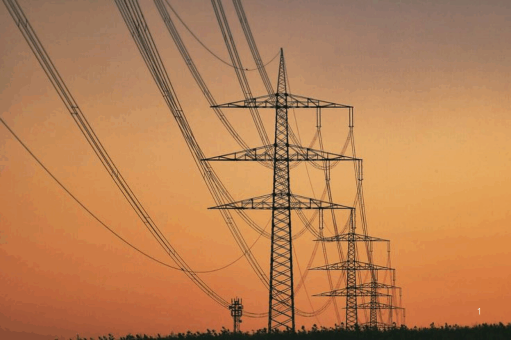 INTEGRAÇÃO: Conexão de Roraima ao Sistema Interligado Nacional é Garantia e Avanço Energético