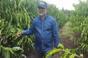QUALIDADE: Cafés Acreanos Entre os Melhores do Brasil Destacando a Tradição da Produção Local
