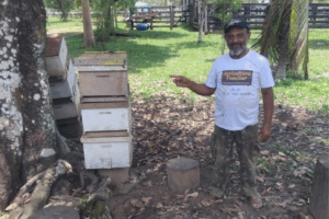AVANÇO: Monitoramento Técnico em Apiários do Acre Fortalece a Apicultura Sustentável e a Produção de Mel Local