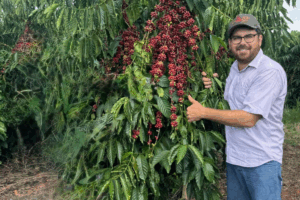 QUALIDADE: Cafés Acreanos Entre os Melhores do Brasil Destacando a Tradição da Produção Local