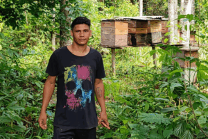 AVANÇO: Monitoramento Técnico em Apiários do Acre Fortalece a Apicultura Sustentável e a Produção de Mel Local