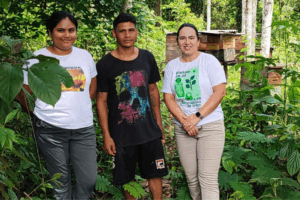 Monitoramento técnico em apiários do Acre fortalece a apicultura sustentável e a produção de mel local.
