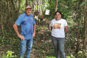 AVANÇO: Monitoramento Técnico em Apiários do Acre Fortalece a Apicultura Sustentável e a Produção de Mel Local