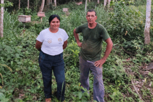 AVANÇO: Monitoramento Técnico em Apiários do Acre Fortalece a Apicultura Sustentável e a Produção de Mel Local