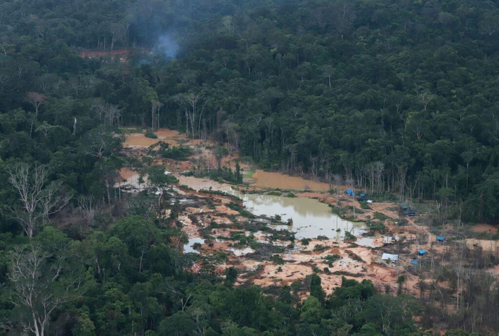 PROGRESSO: Desmatamento Cai 11% na Amazônia e no Cerrado, Avanço Importante na Proteção Ambiental do Brasil