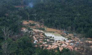 PROGRESSO: Desmatamento Cai 11% na Amazônia e no Cerrado, Avanço Importante na Proteção Ambiental do Brasil