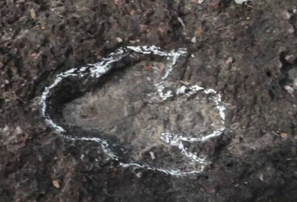 HISTÓRICO: Pegadas de Dinossauros são Descobertas na Amazônia e Abre Caminho para o Turismo Geológico