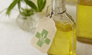 REGRAS: Anvisa Autoriza Cultivo de Cannabis Medicinal no Brasil e Amplia Acesso a Tratamentos