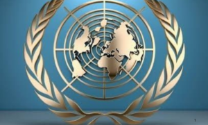 MEDIAÇÃO: Conselho de Segurança da ONU Divulga Declaração após Reunião de Emergência Solicitada pela Colômbia