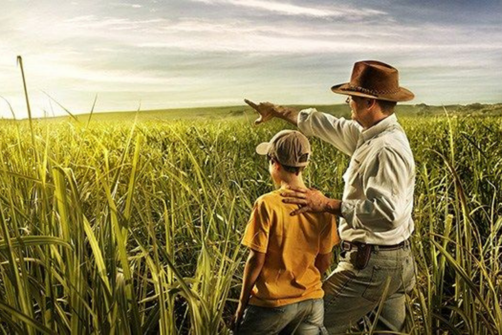 INVESTIMENTO: Energia Solar e Internet no Campo Moderniza Agricultura do Acre que Vive Avanço Histórico