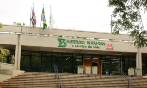 MARCO: Vacinação Piloto Contra a Dengue com Imunizante 100% Nacional
