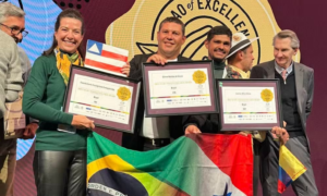 QUALIDADE: Brasil Conquista Três Ouros no Maior Prêmio de Cacau do Mundo e Consolida Liderança Global
