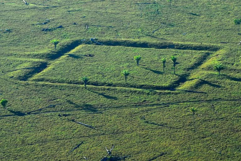 PRESERVAÇÃO: MPF Firma Acordos para Reparar Danos a Geoglifos Amazônicos no Acre