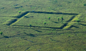 PRESERVAÇÃO: MPF Firma Acordos para Reparar Danos a Geoglifos Amazônicos no Acre