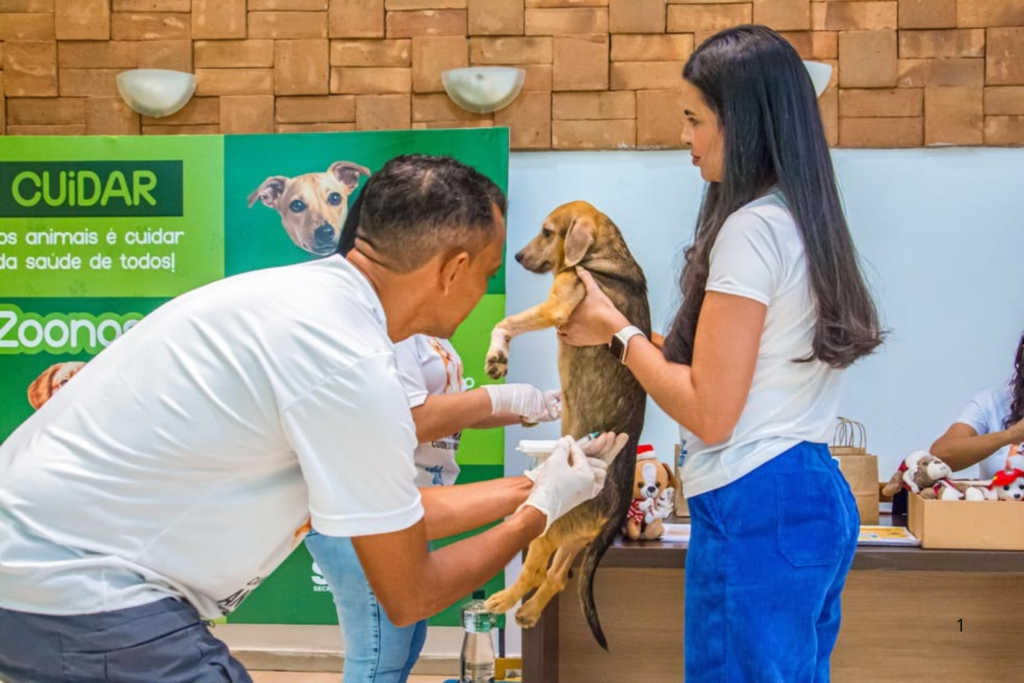 PREVENÇÃO: Vacinação Antirrábica Gratuita para Cães e Gatos Ocorre Neste Fim de Semana em Rio Branco