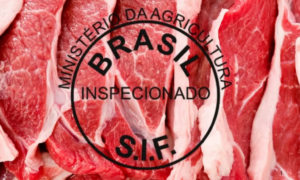 SUSPENSO: União Europeia Oficializa Veto à Carne Brasileira e Outros Produtos de Origem Animal a partir de Setembro