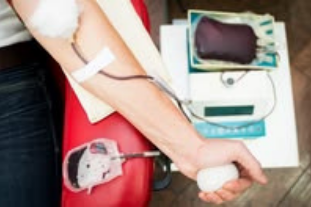MUDANÇA: Ministério da Saúde Elimina Idade Máxima para Doadores de Sangue e Reduz Prazos de Impedimento