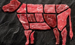 IMPACTO: Suspensão de Importações pela União Europeia pode Elevar o Preço da Carne Brasileira
