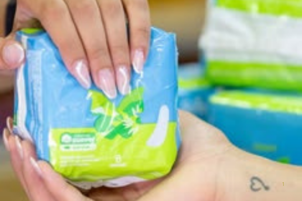 SERVIÇO: SUS Oferece Absorventes Gratuitos e Atendimento Integral à Saúde da Mulher; Saiba quem tem Direito