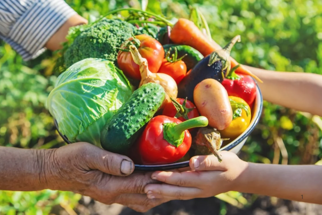 REGRAS: Governo Aumenta para 45% a Exigência de Compra da Agricultura Familiar para Merenda Escolar